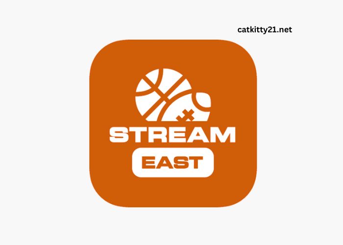 Stream India APK